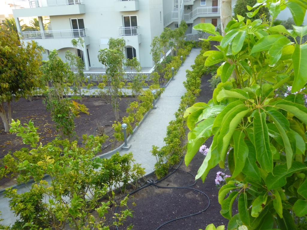 Comfortable Apartment With Amazing Sea Views Палм-мар Екстериор снимка